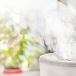 Whole-home humidifier